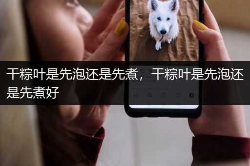 干粽叶是先泡还是先煮，干粽叶是先泡还是先煮好